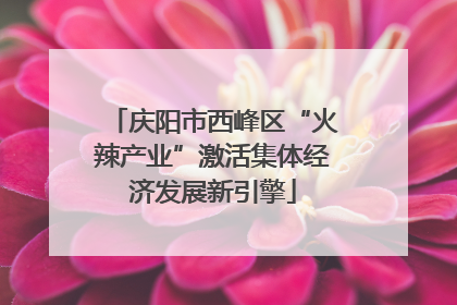 庆阳市西峰区“火辣产业”激活集体经济发展新引擎