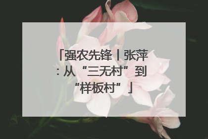 强农先锋丨张萍：从“三无村”到“样板村”