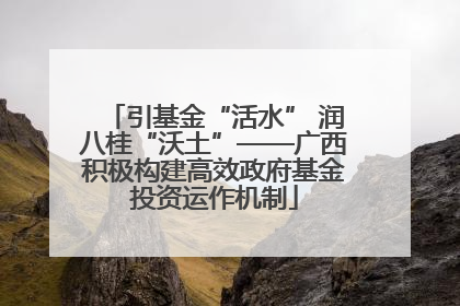 引基金“活水” 润八桂“沃土”——广西积极构建高效政府基金投资运作机制