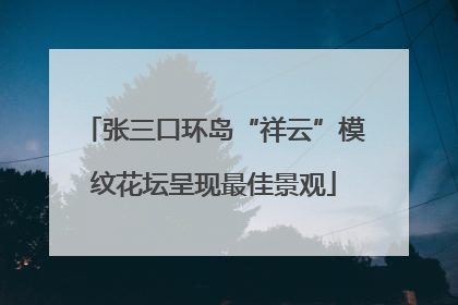 张三口环岛“祥云”模纹花坛呈现最佳景观
