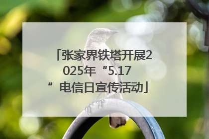 张家界铁塔开展2025年“5.17”电信日宣传活动