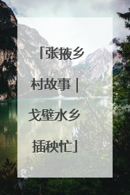 张掖乡村故事｜戈壁水乡插秧忙
