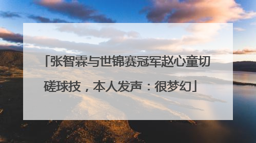 张智霖与世锦赛冠军赵心童切磋球技，本人发声：很梦幻