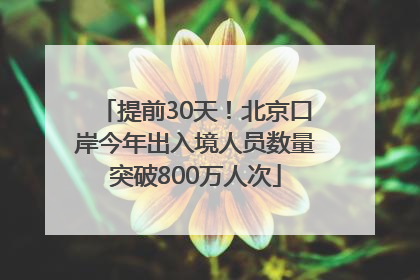 提前30天！北京口岸今年出入境人员数量突破800万人次