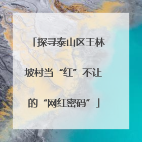 探寻泰山区王林坡村当“红”不让的“网红密码”