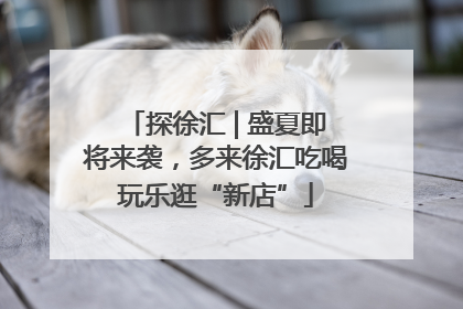 探徐汇 | 盛夏即将来袭，多来徐汇吃喝玩乐逛“新店”