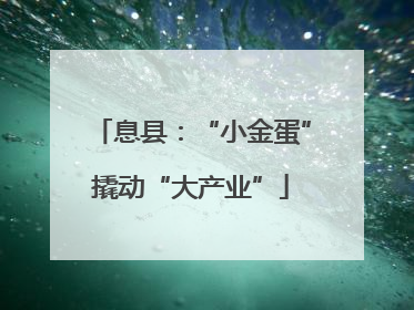 息县：“小金蛋”撬动“大产业”