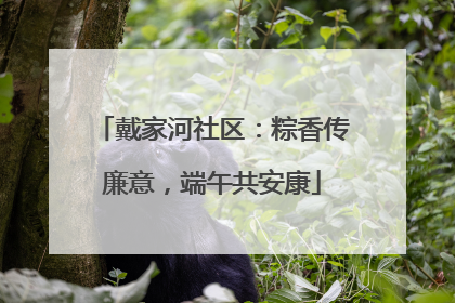 戴家河社区：粽香传廉意，端午共安康