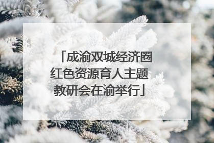 成渝双城经济圈红色资源育人主题教研会在渝举行