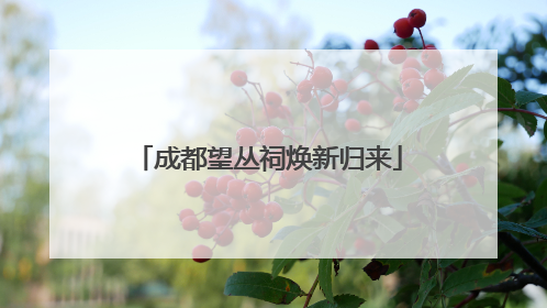 成都望丛祠焕新归来