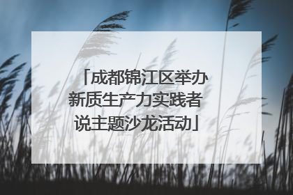 成都锦江区举办新质生产力实践者说主题沙龙活动