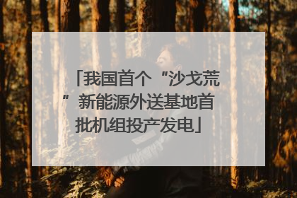 我国首个“沙戈荒”新能源外送基地首批机组投产发电