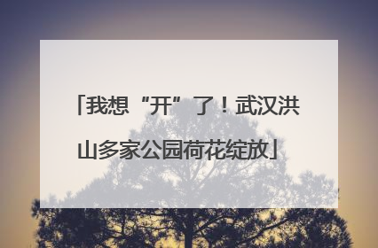 我想“开”了！武汉洪山多家公园荷花绽放