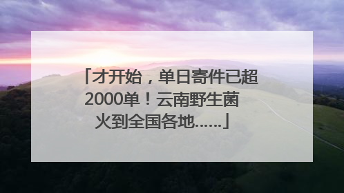 才开始，单日寄件已超2000单！云南野生菌火到全国各地……