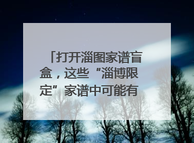 打开淄图家谱盲盒，这些“淄博限定”家谱中可能有你的隐藏身份