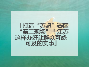 打造“苏超”赛区“第二现场”！江苏这样办好让群众可感可及的实事