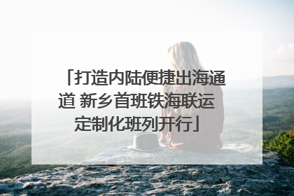 打造内陆便捷出海通道 新乡首班铁海联运定制化班列开行