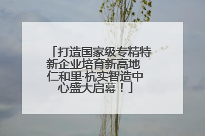 打造国家级专精特新企业培育新高地 仁和里·杭实智造中心盛大启幕！