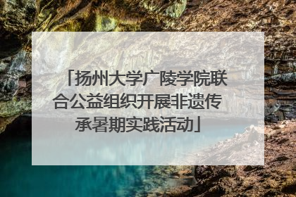 扬州大学广陵学院联合公益组织开展非遗传承暑期实践活动