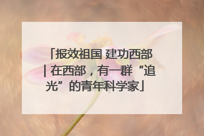 报效祖国 建功西部｜在西部，有一群“追光”的青年科学家