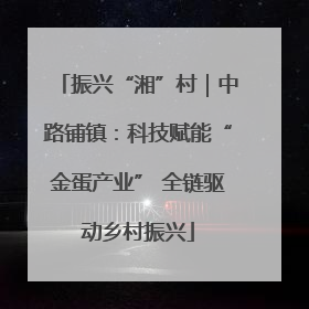 振兴“湘”村｜中路铺镇：科技赋能“金蛋产业” 全链驱动乡村振兴