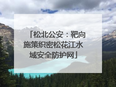 松北公安：靶向施策织密松花江水域安全防护网