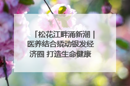 松花江畔涌新潮｜医养结合撬动银发经济圈 打造生命健康产业新样本