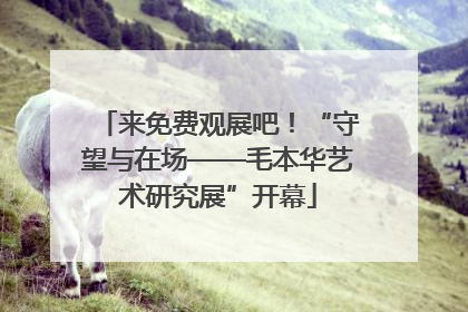 来免费观展吧！“守望与在场——毛本华艺术研究展”开幕