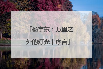 杨宇东：万里之外的灯光｜序言