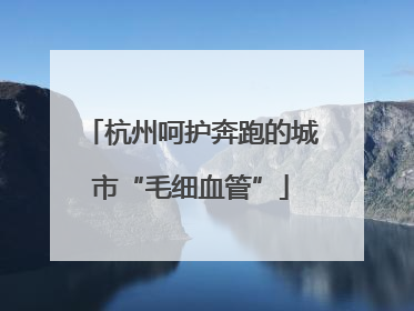杭州呵护奔跑的城市“毛细血管”