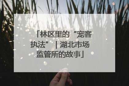 林区里的“宠客执法”｜湖北市场监管所的故事