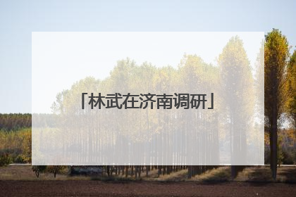 林武在济南调研
