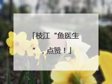 枝江“鱼医生”，点赞！