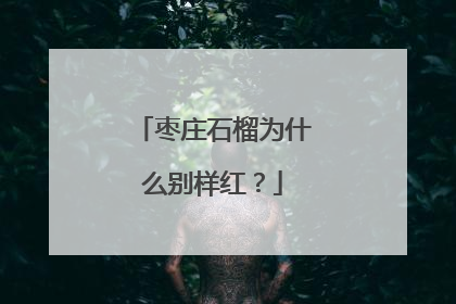 枣庄石榴为什么别样红？