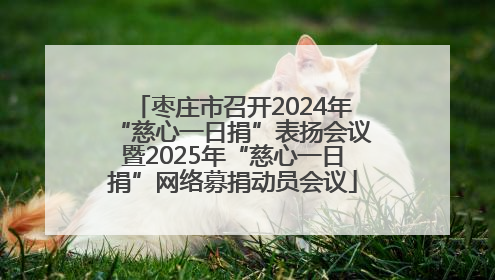 枣庄市召开2024年“慈心一日捐”表扬会议暨2025年“慈心一日捐”网络募捐动员会议