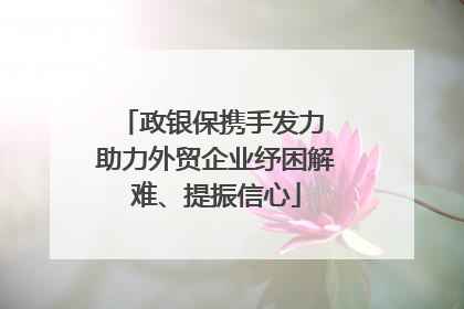 政银保携手发力 助力外贸企业纾困解难、提振信心