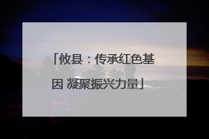 攸县：传承红色基因 凝聚振兴力量