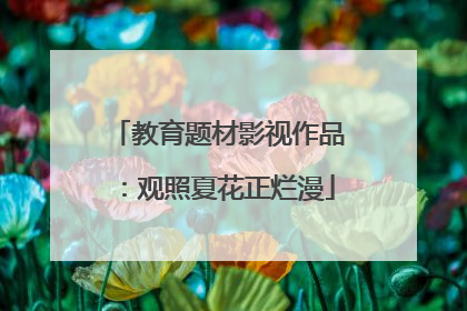 教育题材影视作品：观照夏花正烂漫