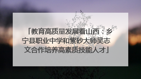 教育高质量发展看山西：乡宁县职业中学和紫砂大师吴志文合作培养高素质技能人才