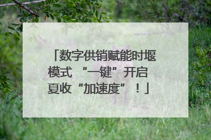 数字供销赋能时堰模式 “一键”开启夏收“加速度”！