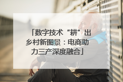 数字技术“耕”出乡村新图景：电商助力三产深度融合
