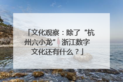 文化观察：除了“杭州六小龙” 浙江数字文化还有什么？