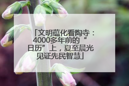 文明蕴化看陶寺：4000多年前的“日历”上，夏至晨光见证先民智慧