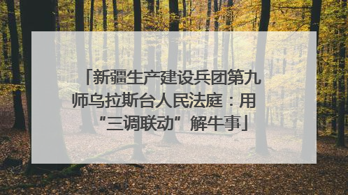 新疆生产建设兵团第九师乌拉斯台人民法庭：用“三调联动”解牛事