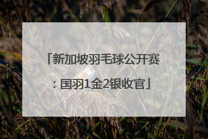新加坡羽毛球公开赛：国羽1金2银收官