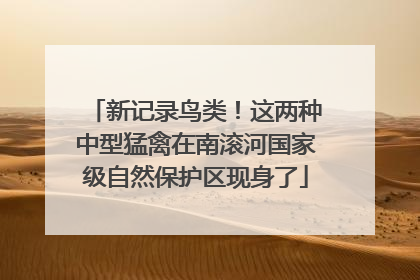 新记录鸟类！这两种中型猛禽在南滚河国家级自然保护区现身了