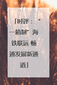 时评：“一箱制”海铁联运 畅通发展新通道