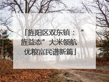 旌阳区双东镇：“旌益态”大米领航 优粮富民谱新篇