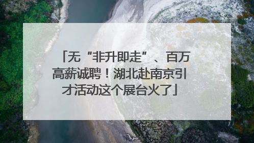 无“非升即走”、百万高薪诚聘！湖北赴南京引才活动这个展台火了