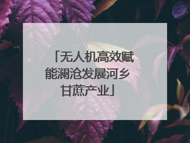 无人机高效赋能澜沧发展河乡甘蔗产业